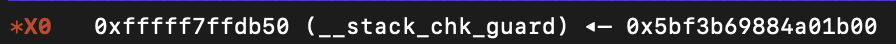 stack_check_guard